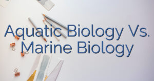 Aquatic Biology Vs. Marine Biology