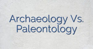 Archaeology Vs. Paleontology
