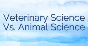 Veterinary Science Vs. Animal Science