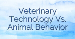 Veterinary Technology Vs. Animal Behavior