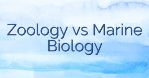 Zoology vs Marine Biology